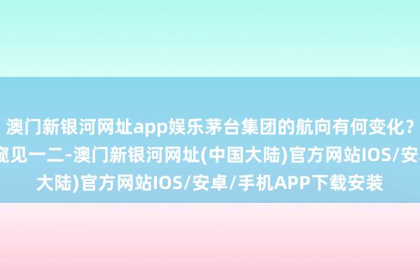 澳门新银河网址app娱乐茅台集团的航向有何变化？从这份半年报中不错窥见一二-澳门新银河网址(中国大陆)官方网站IOS/安卓/手机APP下载安装