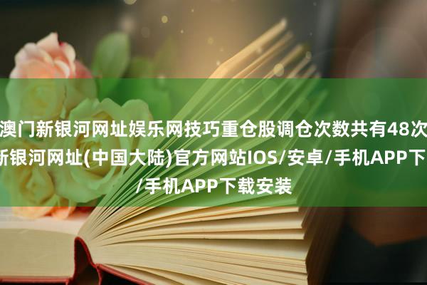 澳门新银河网址娱乐网技巧重仓股调仓次数共有48次-澳门新银河网址(中国大陆)官方网站IOS/安卓/手机APP下载安装