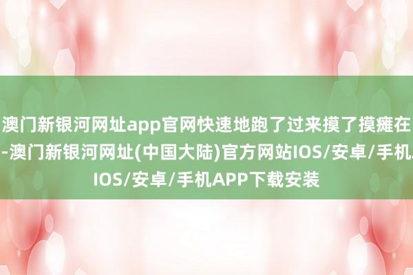 澳门新银河网址app官网快速地跑了过来摸了摸瘫在地上的赵众人-澳门新银河网址(中国大陆)官方网站IOS/安卓/手机APP下载安装