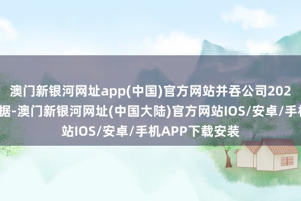 澳门新银河网址app(中国)官方网站并吞公司2024年中报财务数据-澳门新银河网址(中国大陆)官方网站IOS/安卓/手机APP下载安装