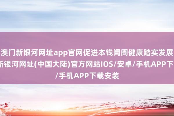 澳门新银河网址app官网促进本钱阛阓健康踏实发展-澳门新银河网址(中国大陆)官方网站IOS/安卓/手机APP下载安装