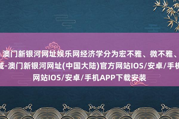 澳门新银河网址娱乐网经济学分为宏不雅、微不雅、计量等多个领域-澳门新银河网址(中国大陆)官方网站IOS/安卓/手机APP下载安装