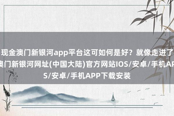 现金澳门新银河app平台这可如何是好？就像走进了一个迷宫-澳门新银河网址(中国大陆)官方网站IOS/安卓/手机APP下载安装