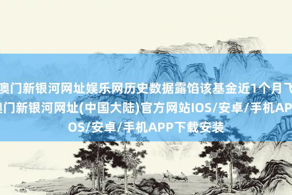 澳门新银河网址娱乐网历史数据露馅该基金近1个月飞腾0.0%-澳门新银河网址(中国大陆)官方网站IOS/安卓/手机APP下载安装