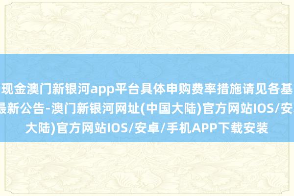 现金澳门新银河app平台具体申购费率措施请见各基金的联系法律文献和最新公告-澳门新银河网址(中国大陆)官方网站IOS/安卓/手机APP下载安装