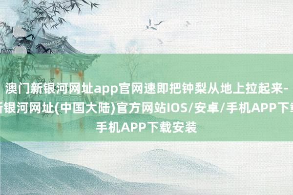 澳门新银河网址app官网速即把钟梨从地上拉起来-澳门新银河网址(中国大陆)官方网站IOS/安卓/手机APP下载安装