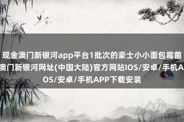 现金澳门新银河app平台1批次的豪士小小面包霉菌超标近6倍-澳门新银河网址(中国大陆)官方网站IOS/安卓/手机APP下载安装