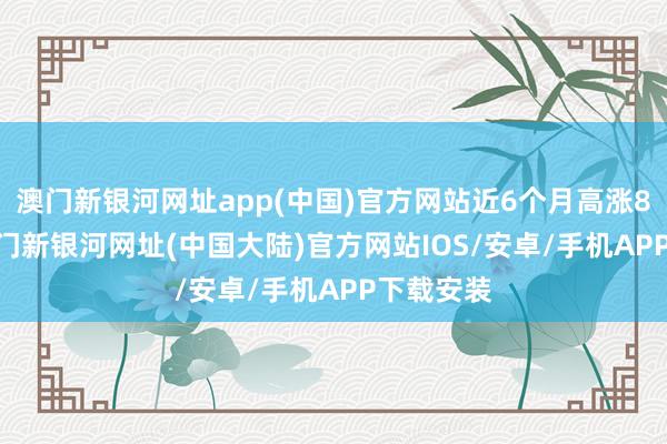 澳门新银河网址app(中国)官方网站近6个月高涨8.27%-澳门新银河网址(中国大陆)官方网站IOS/安卓/手机APP下载安装