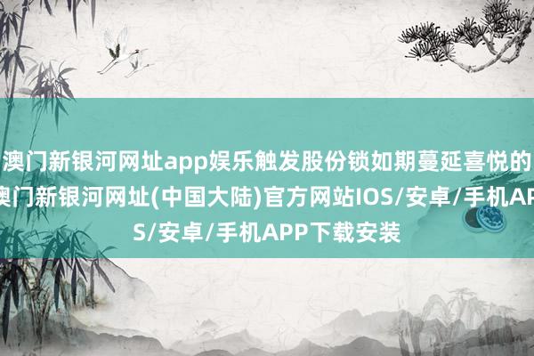 澳门新银河网址app娱乐触发股份锁如期蔓延喜悦的扩张条款-澳门新银河网址(中国大陆)官方网站IOS/安卓/手机APP下载安装